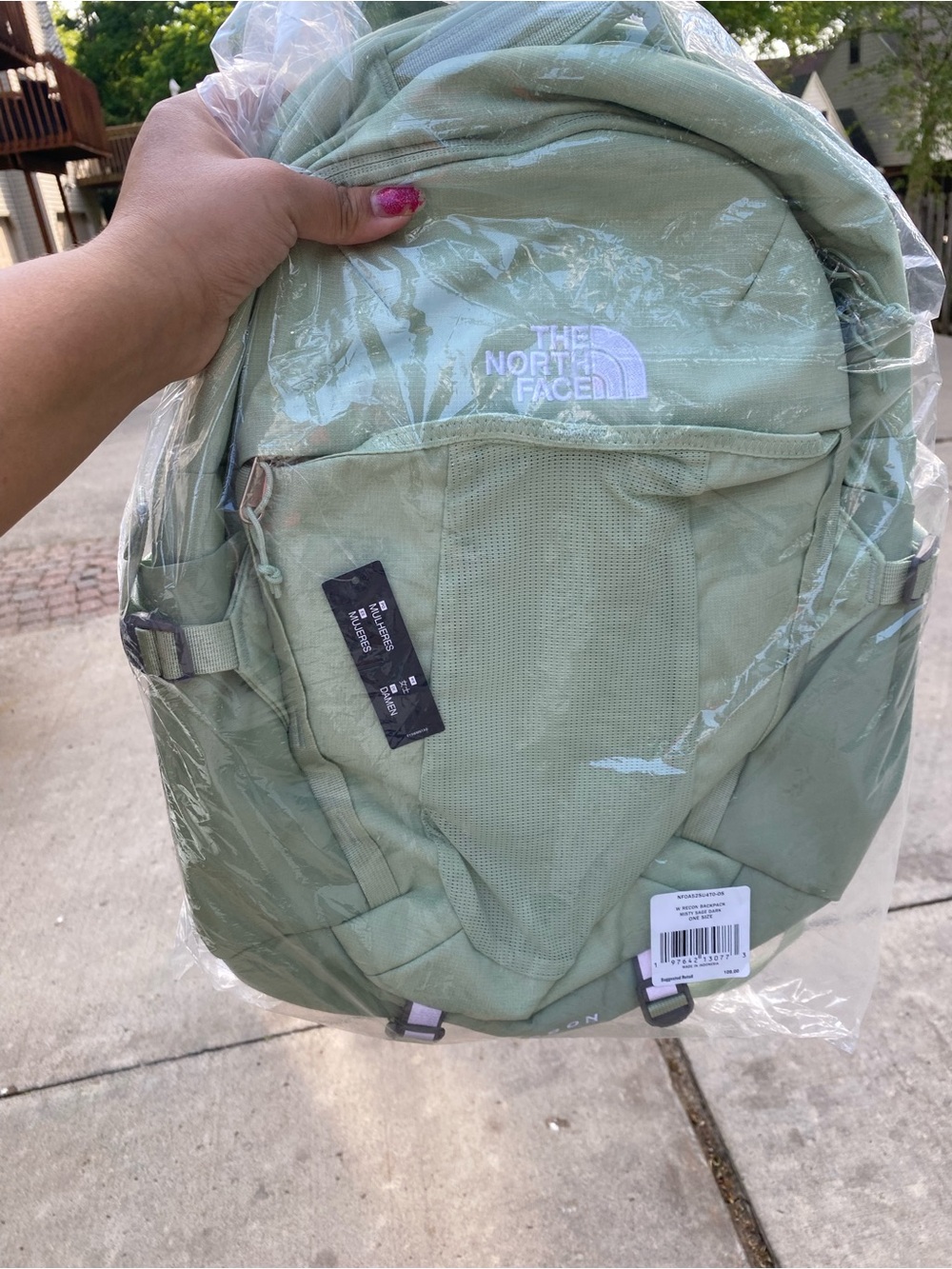 The North Face Sage Green Backpack